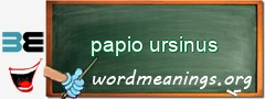 WordMeaning blackboard for papio ursinus